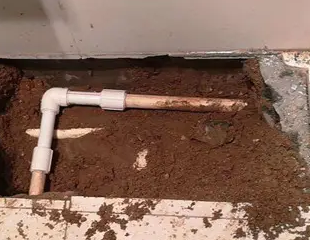 甘井子测漏水哪家好