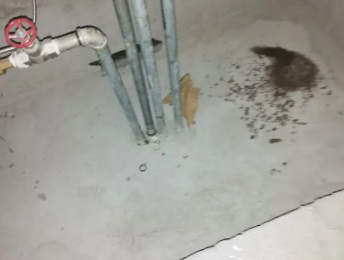 甘井子卫生间测漏水价格明细