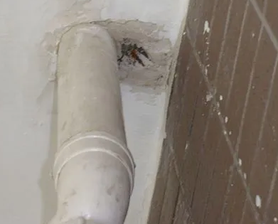 甘井子漏水检测哪家好